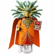 LEGO Dungeons & Dragons Lady of Pain