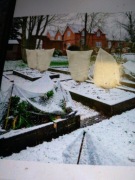 Kaptur ochronny  zimą na rośliny 180x120 cm 2 szt 