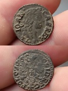 Boratynka Jan Kazimierz 1665r. Ładna