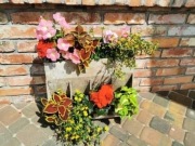 Stare gospodarskie pojemniki donica 