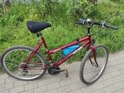 Rower MTB Explorer Active  26" 