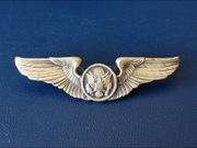 US Air Force Basic Aircrew Badge (Enlisted) - STERLING
