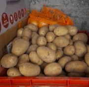 Kanda Tibia Coins od 10 do 22