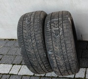 Opony zimowe (2 szt.) Fortuna Winter-max A1 Extra Load 225/55 R17 101V