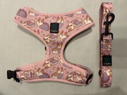 Szelki i smycz dla psa