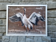 "Żuraw" - obraz akrylowy ręcznie malowany 40x30 cm