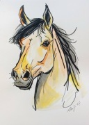 Shen Ji, portret konia, akwarela, 2026, A3