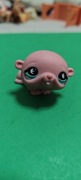 Littlest pet shop  chomik #894
