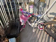 ROWER SAVENO 12″ LILY 