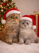 Sensor 3 - aktualnie, nieaktualne