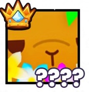 PS99 TITANIC Beach Ball Capybara