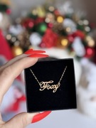 Złoty naszyjnik FOXY z brylantem złoto 585 jubiler