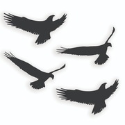 Naklejki na szybę odstraszające ptaki - ZESTAW 4 SZTUK