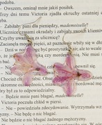 Kolczyki suszone kwiaty Azalia 