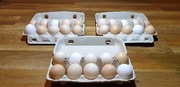 30 szt | JAJA JAJKA WIEJSKIE wolny wybieg ROLNIK!