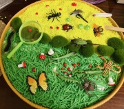 Zestaw Sensoryczny Owady Montessori - Sensory Bin + Lupa