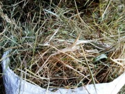 Siano sianko dla królika 5kg