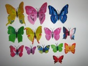 Motyl ważka modliszka zestaw 25 szt owady insekty