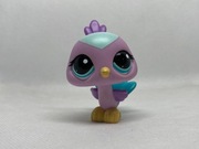 LPS Littlest pet shop ptak paw #1960