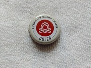 KAPSEL PIWNY BROWAR BRANIEWO nr.kat 1