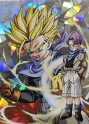 Dragon Ball Universal TC Panini karty kolekcjonerskie