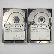 2x Maxtor Atlas 15K 36GB Ultra320 SCSI | 15000 RPM | UNIKAT RETRO