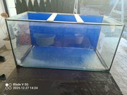 Akwarium 250 l 100x50x50 plus gratisy Wrocław 