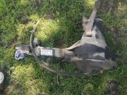 Dodge Durango, Dakota 2000r 4,7l most przedni. 