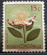 Kongo Belgijskie, kwiat Protea (Telopea), 15 centymów