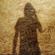 STEVEN WILSON - UNRELEASED ELECTRONIC MUSIC 2LP