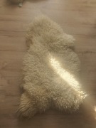 Skora owcza kolejki Barczewo 