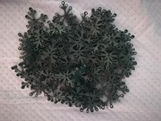 lego 2417 liście dark green, 70szt