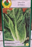 Sałata rzymska nasiona 