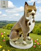 Pies bokser Ferenc Ory Zsolnay Węgry lata 60te Promocja