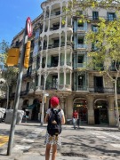 Plecak z kaczką na wycieczki