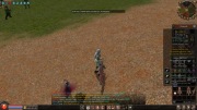 Konto Woj Mental 196 lvl + eq