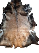 skóra z jelenia zimowa suknia 