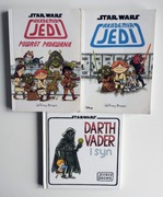 Star Wars Akademia Jedi Powrót Padawana Darth Vader i syn Jeffrey Brown