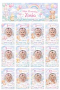 Karty Miesięczne Dla Dziecka 12 Miesięcy Personalizowane Ze Zdjęciem
