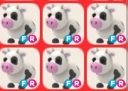 Pet FR cow w grze adopt me roblox