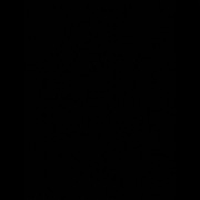 Sprzedam mięso z gęsi 