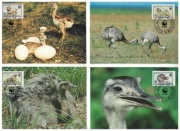 04-MC36-Urugwaj,WWF,1993,Strusie Nandu