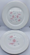 Talerze Limoges x2 sztuki 