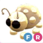 Golden Ladybug FR- Adopt Me Roblox