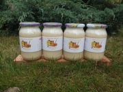 Miód Rzepakowy Zestaw 4 x 1.2 kg Delikatny Naturalny 2026 r