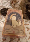 Koty Tarota gra karciana magia astrologia wróżby Tarot zestaw talia do gry