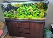 Zestaw akwarium 240l ,filtr eheim lampy fluval ,szafka
