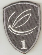 Naszywka 1 RBLog na mundur polowy.