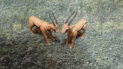 Playmobil antylopy 2 sztuki 