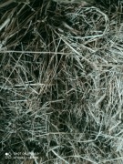 Siano 2024 majowy pokos naturalne ekologiczne